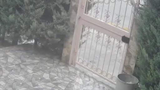 Ankara’da sahipsiz köpeklerin saldırısına uğrayan kadın komşusu sayesinde kurtuldu: Korku dolu...