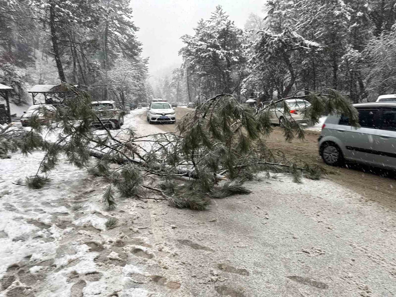 ANKARA’NIN KIZILCAHAMAM İLÇESİNDE ETKİSİNİ SÜRDÜREN KAR YAĞIŞI NEDENİYLE SOĞUKSU MİLLİ PARKINDA...