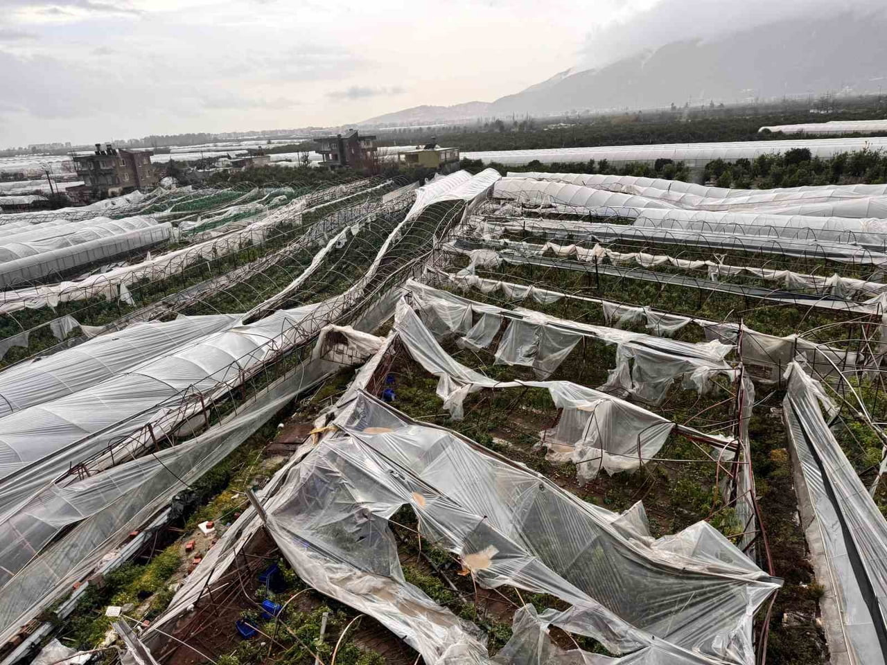 ANTALYA'NIN FİNİKE İLÇESİNDE MEYDANA GELEN VE SERALARI YERLE BİR EDİP BİNA BALKON CAM...