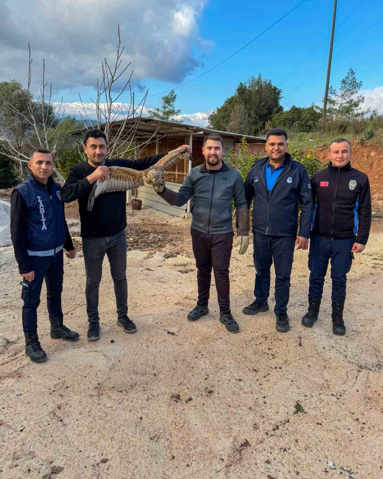 ANTALYA'NIN KUMLUCA İLÇESİNDE ZABITA  TARAFINDAN İLÇE MERKEZİNDE YARALI HALDE BULUNAN ATMACA...