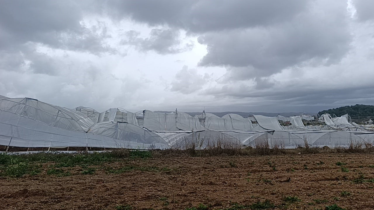 ANTALYA'NIN MANAVGAT İLÇESİNDE DÜN GECE ETKİLİ OLAN HORTUM ÇOLAKLI, DENİZYAKA, BÜKLÜCE VE...