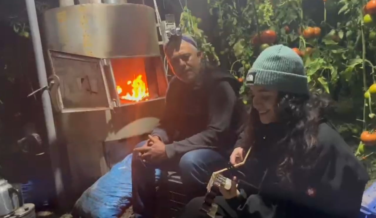 ANTALYA'NIN SERİK İLÇESİNDE GECE SAATLERİNDE HAVA SICAKLIĞI 0 DERECENİN ALTINA DÜŞMEMESİ İÇİN ÖRTÜ...