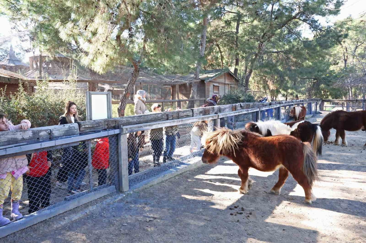 ANTALYA BÜYÜKŞEHİR BELEDİYESİ DOĞAL YAŞAM PARKI'NDA YIL BOYUNCA ÇOCUKLARA HAYVAN VE DOĞA SEVGİSİ...
