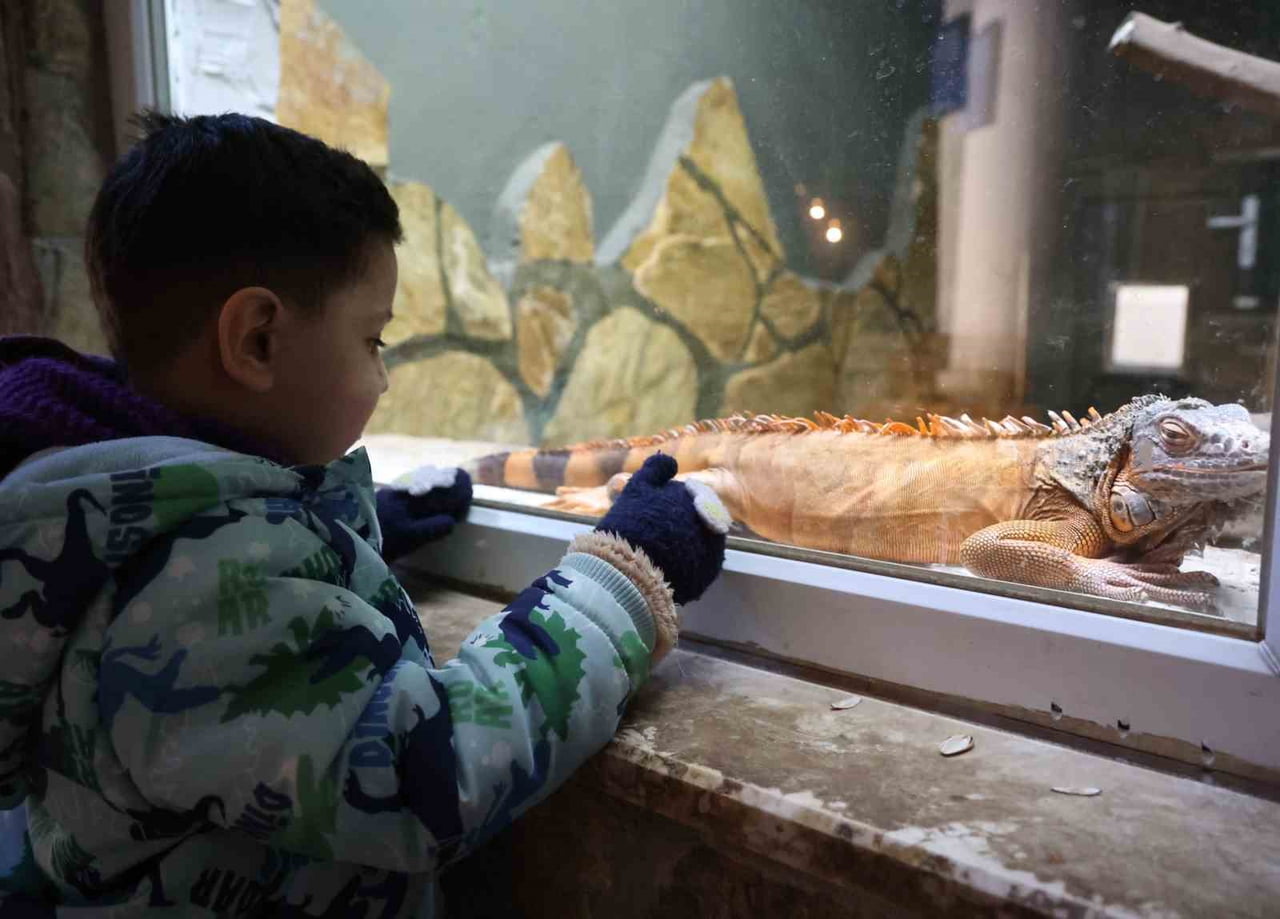 ANTALYA’DA SON GÜNLERDE ETKİLİ OLAN SOĞUK HAVA NEDENİYLE ANTALYA BÜYÜKŞEHİR BELEDİYESİ, DOĞAL...