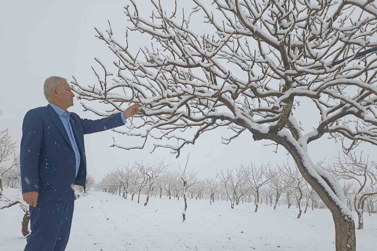 ARABAN'DA KAR YAĞIŞI ZEYTİN VE ANTEPFISTIĞI ÜRETİCİLERİNİN YÜZÜNÜ GÜLDÜRDÜ