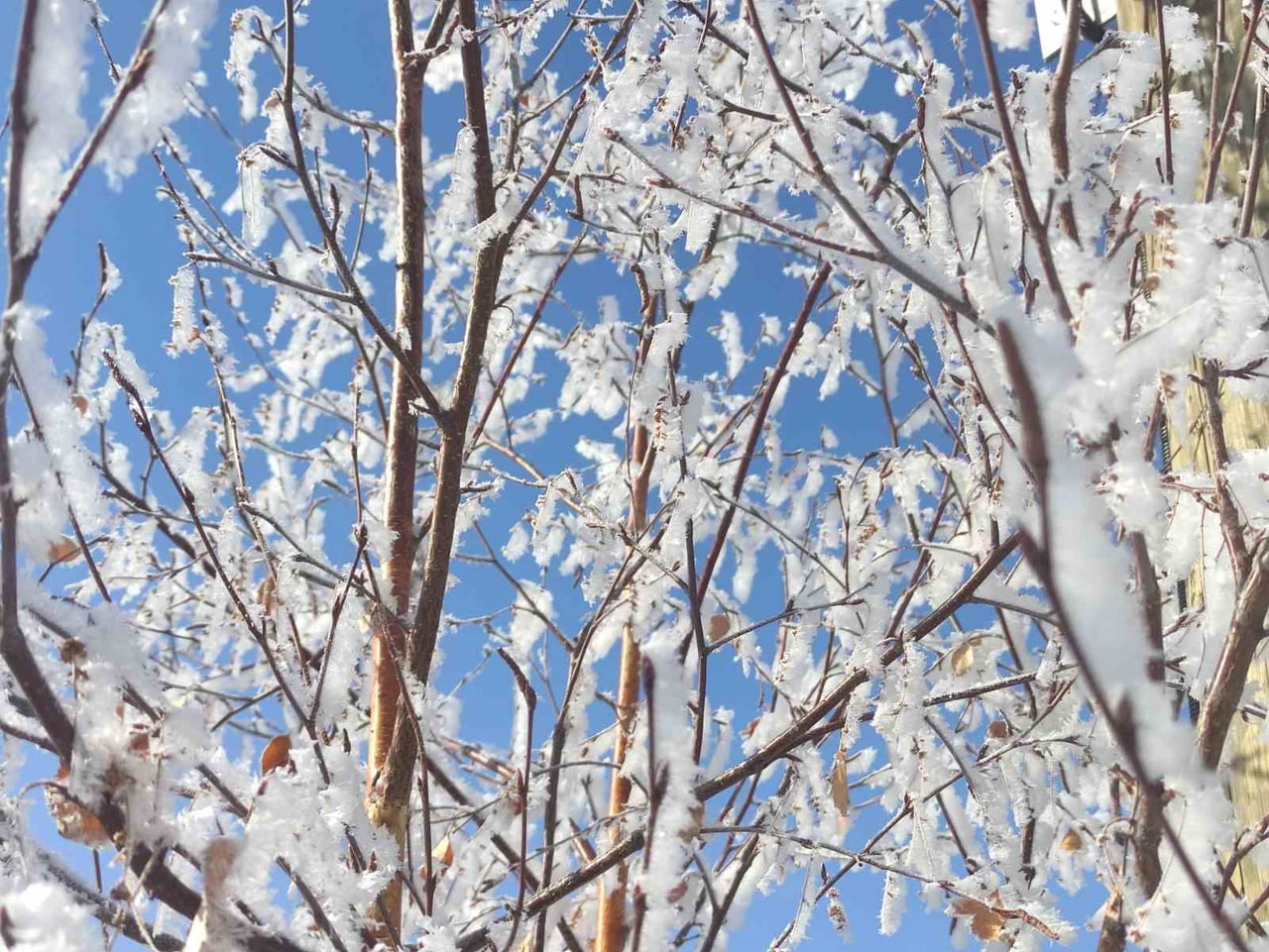 ARDAHAN'DA SOĞUK HAVA NEDENİYLE ARAÇLARI KIRAĞI TUTARKEN, HAYAT DURMA NOKTASINA GELDİ