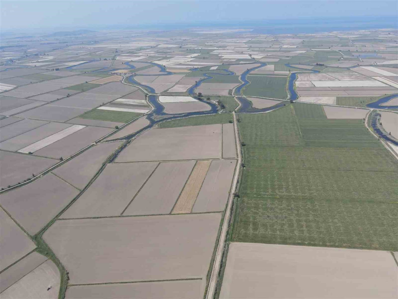 (ARŞİV FOTO) - SÖKE’DE 2026 ÜRETİM YILI ÇKS ÜRÜN BEYANLARI AÇIKLANIRKEN, İLÇEDE BUĞDAY, PAMUK VE...