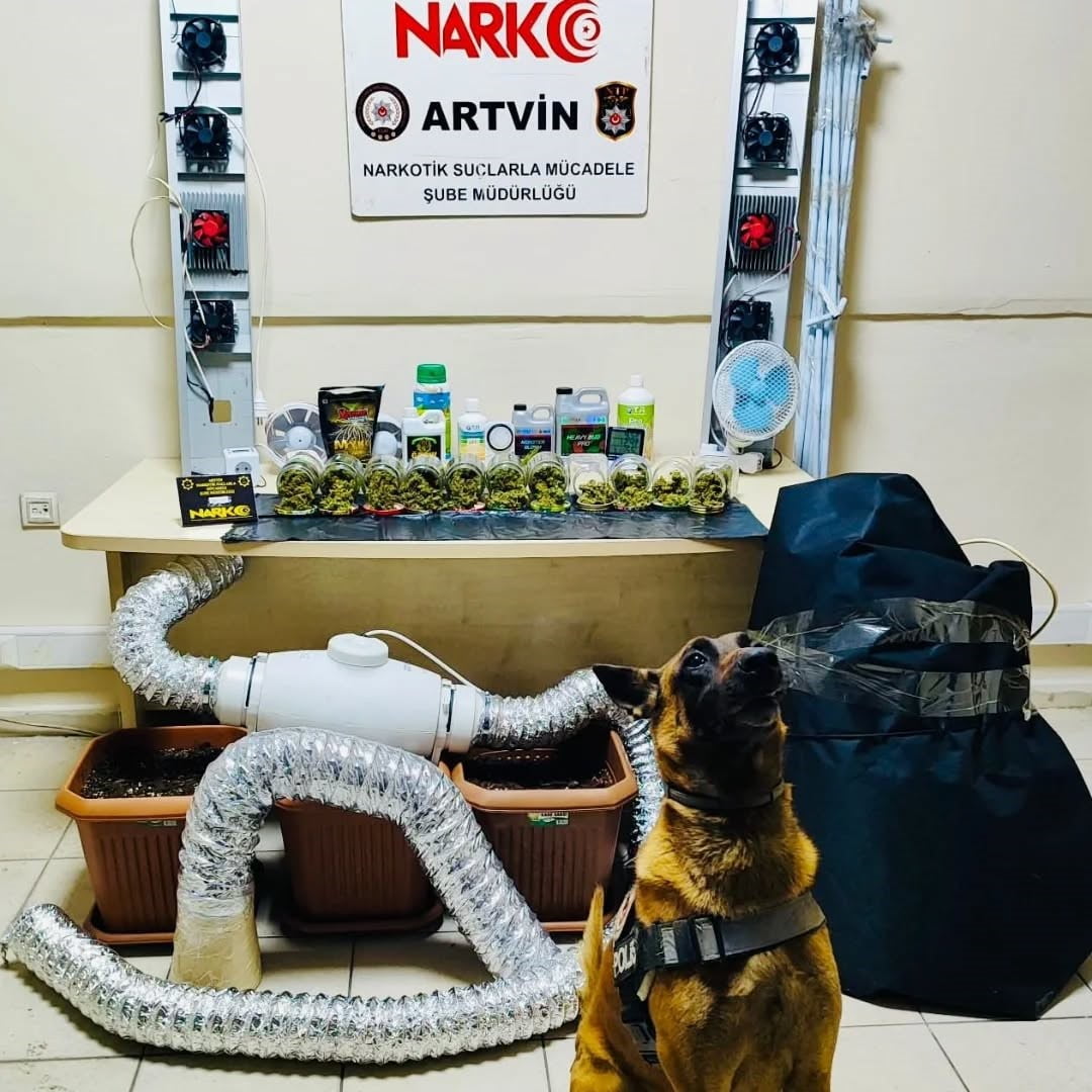 ARTVİN’İN ARHAVİ İLÇESİNDE NARKOTİK EKİPLERİNCE DÜZENLENEN OPERASYONDA 205 GRAM SKUNK, KENEVİR...