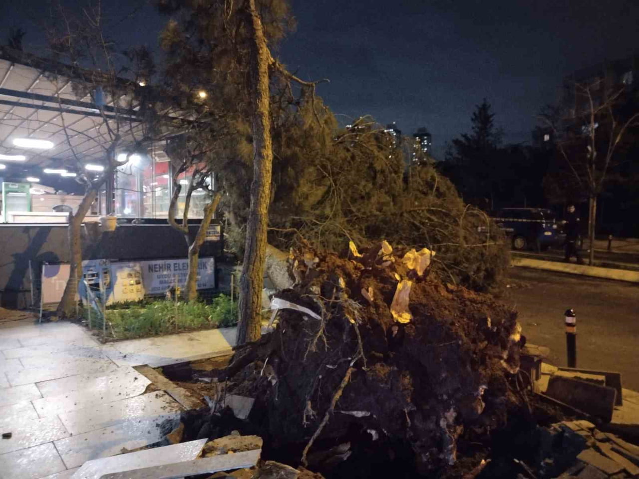 ATAŞEHİR’DE FIRTINA NEDENİYLE AĞAÇ DEVRİLDİ