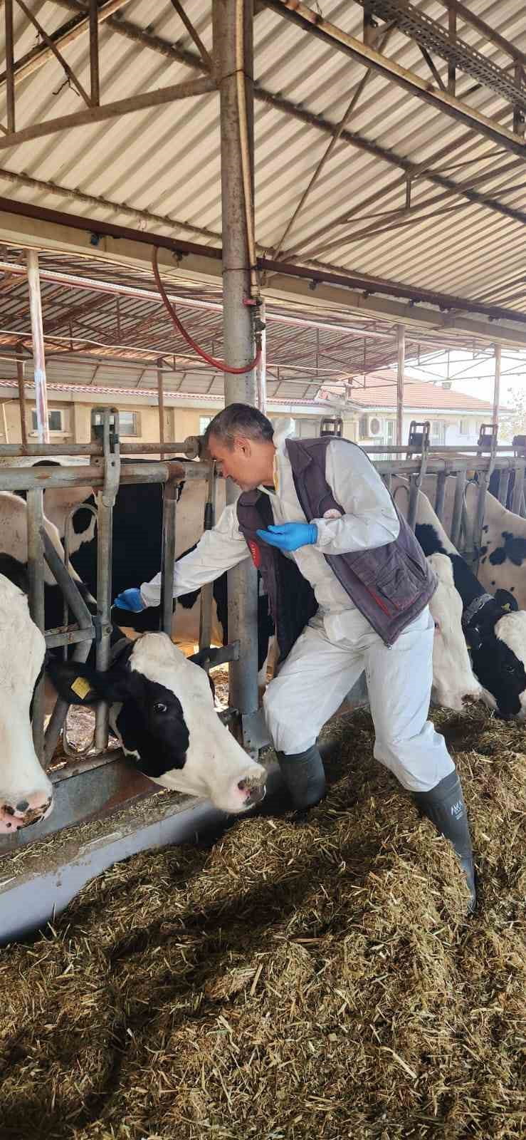 AYDIN’IN SÖKE İLÇESİNDE BULUNAN TARIM VE HAYVANCILIK EĞİTİM MERKEZİ’NDE (TAYEM), HASTALIKTAN ARİ...