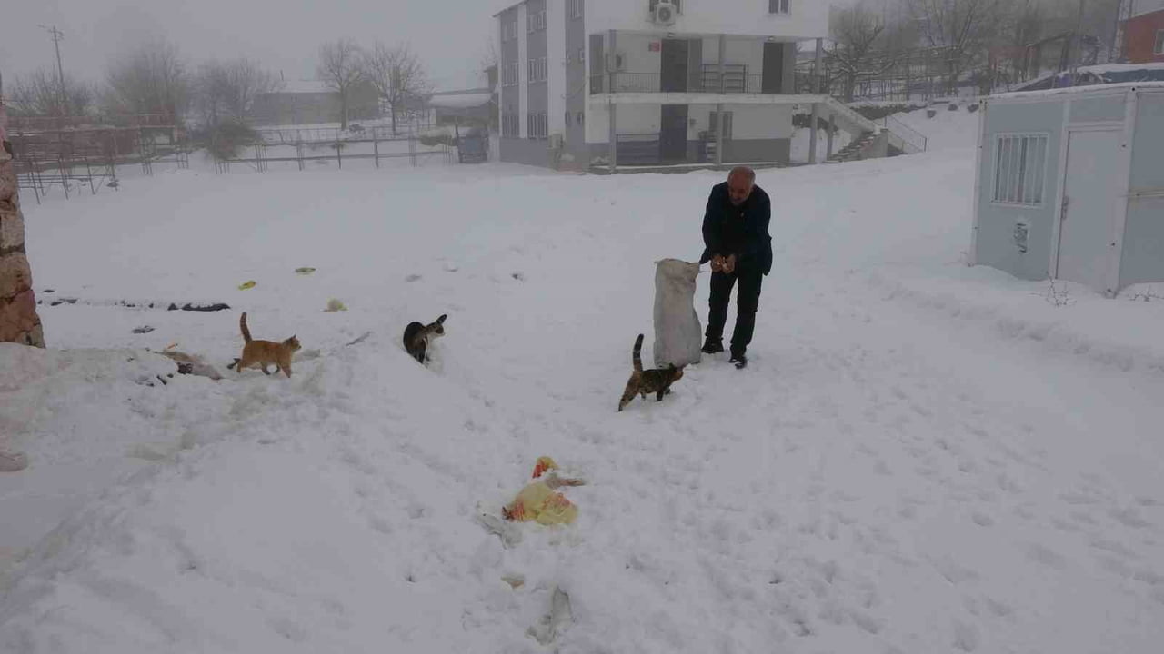 BAHAR VE YAZ AYLARINDA NÜFUSU 2 BİNE YAKLAŞAN 250 HANELİ SARIKAYA KÖYÜNDE, KIŞIN SADECE MUHTAR VE...