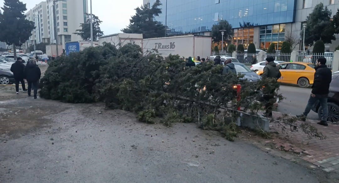 BAHÇELİEVLER'DE ŞİDDETLİ RÜZGAR NEDENİYLE AĞAÇ DEVRİLDİ, BİR KİŞİ  ALTINDA KALDI