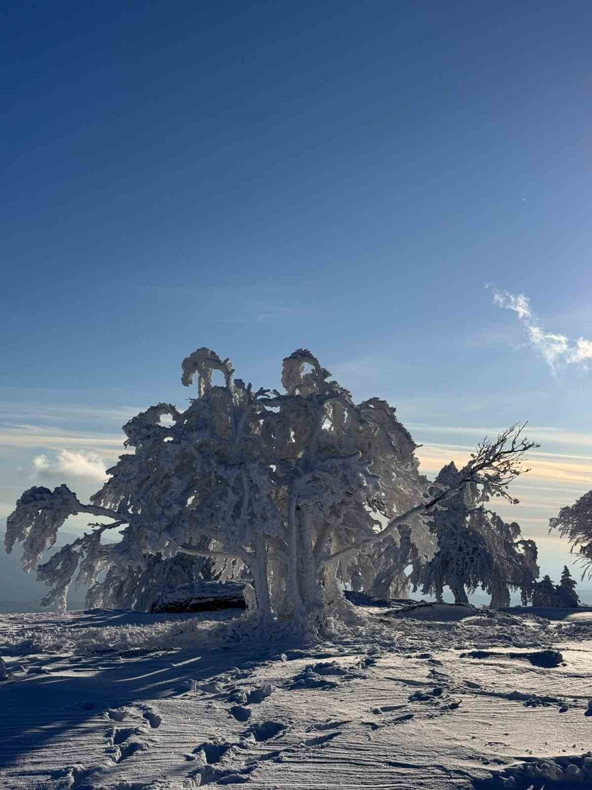 BALIKESİR'İN SUSURLUK İLÇESİNDE BULUNAN 1300 METRE YÜKSEKLİĞİNE SAHİP ÇATALDAĞ'DA ÇEKİLEN...