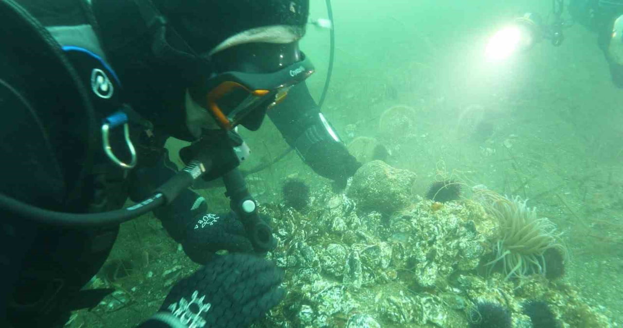 BANDIRMA ONYEDİ EYLÜL ÜNİVERSİTESİ DENİZCİLİK FAKÜLTESİ ÖĞRETİM ÜYESİ PROF. DR. MUSTAFA...