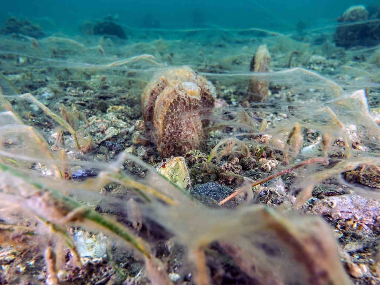 BANDIRMA ONYEDİ EYLÜL ÜNİVERSİTESİ DENİZCİLİK FAKÜLTESİ ÖĞRETİM ÜYESİ PROF. DR. MUSTAFA SARI...