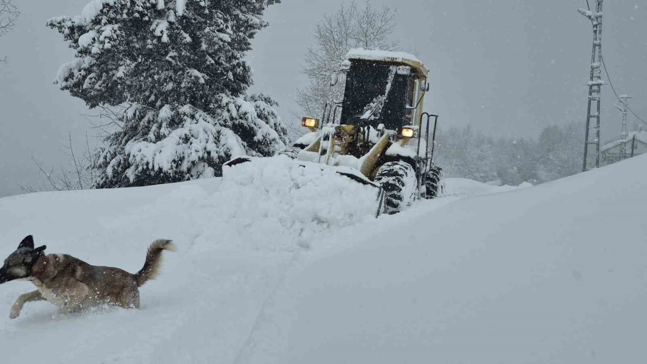 BARTIN İL SAĞLIK MÜDÜRLÜĞÜ ACİL SAĞLIK HİZMETLERİNE AİT ARAZİLİ VE PALETLİ AMBULANSLAR, SADECE...