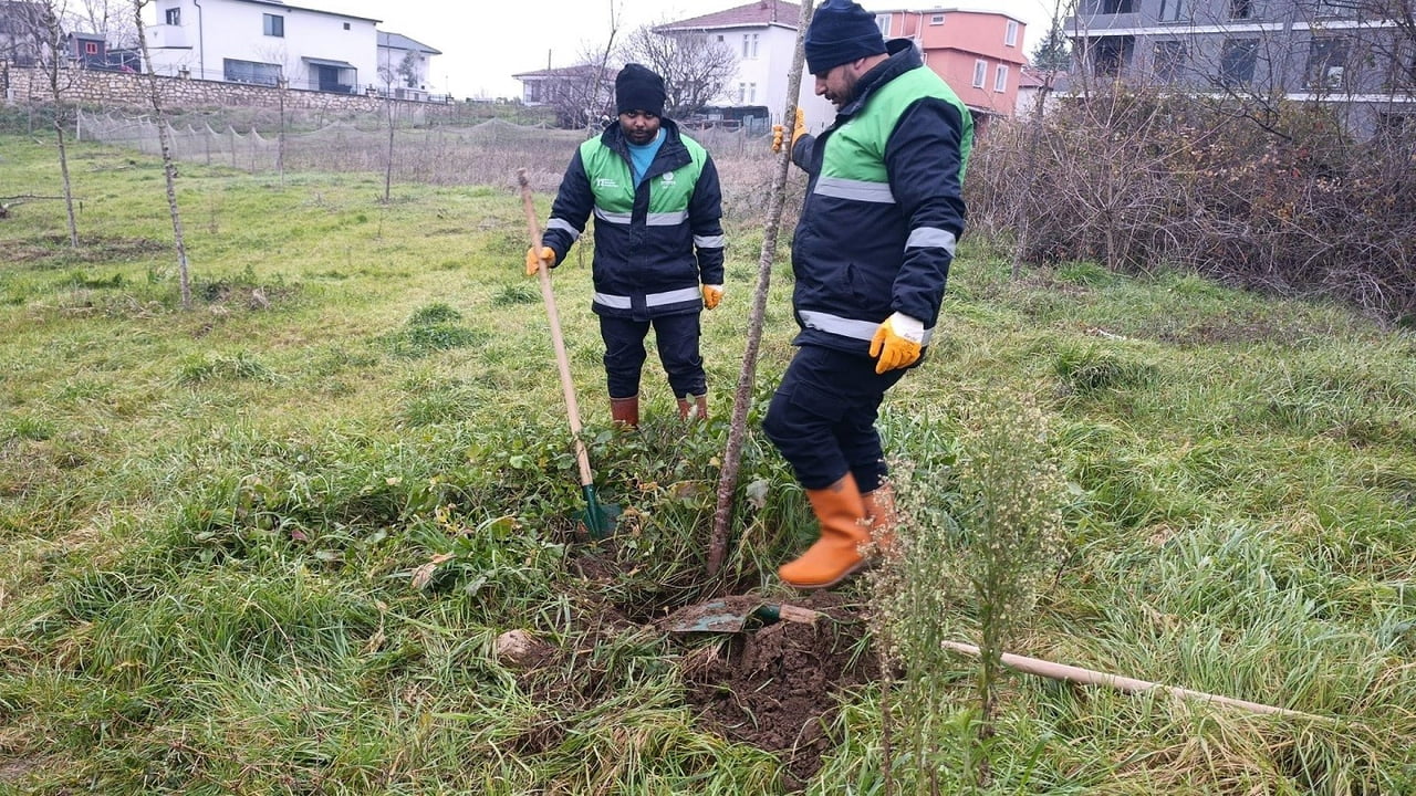 BAŞİSKELE BELEDİYESİ EKİPLERİ, İLÇE GENELİNDEKİ PEYZAJ VE AĞAÇLANDIRMA ÇALIŞMALARINI...