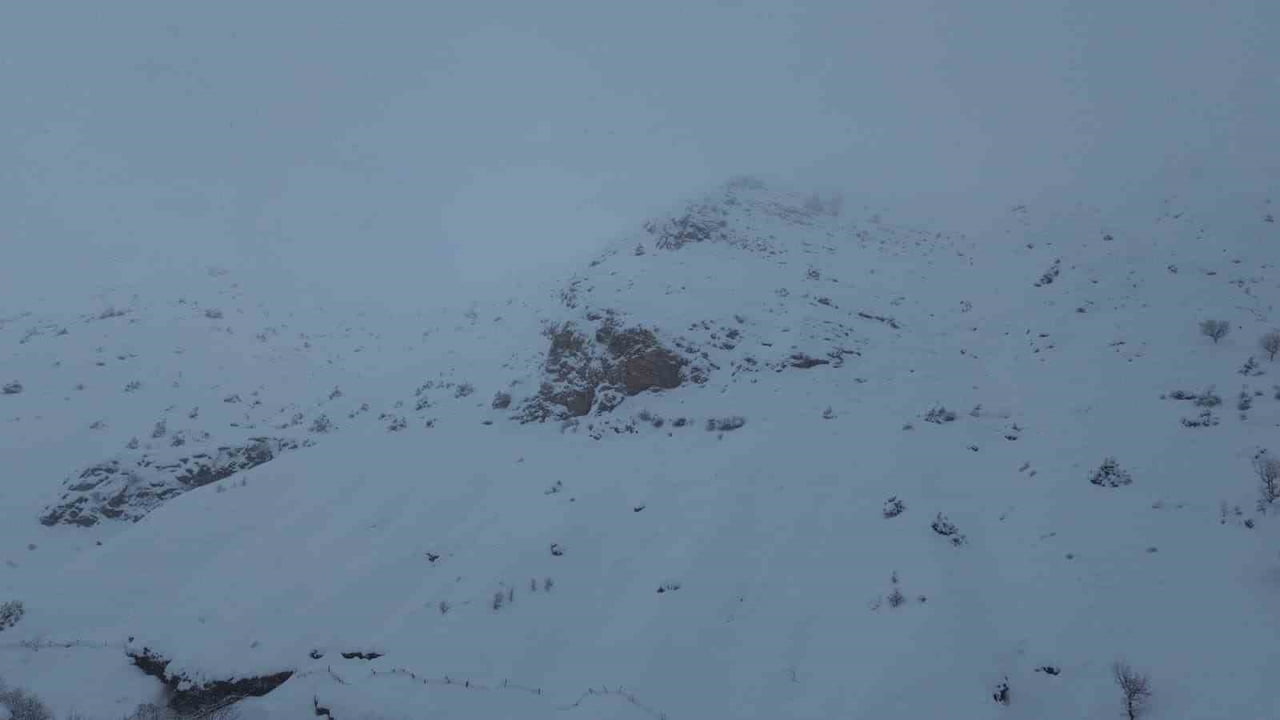 BATMAN’DA AĞILA ÇIĞ DÜŞTÜ: 45 KÜÇÜKBAŞ HAYVAN TELEF OLDU