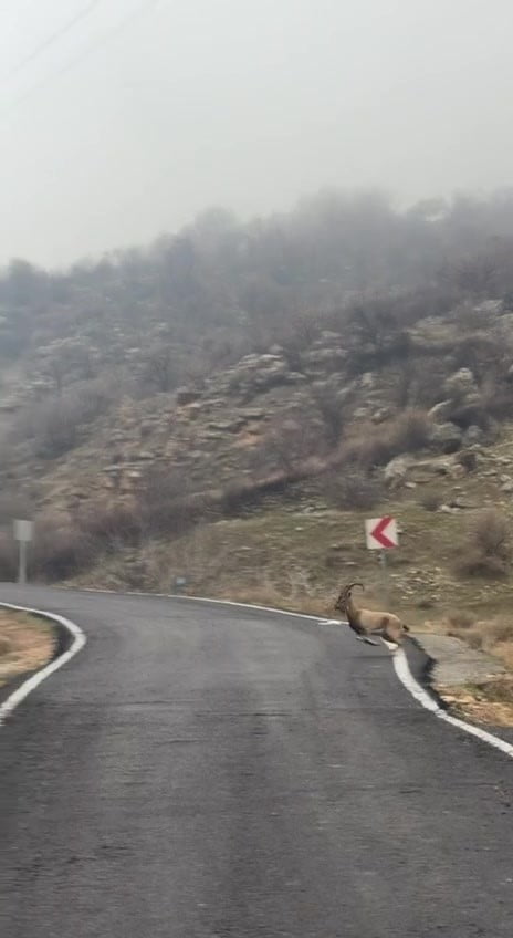 BATMAN’IN HASANKEYF İLÇESİNDE YÜREKLERİ ISITAN BİR OLAY YAŞANDI. KARA KÖYÜ MEVKİİNDE SEYİR HALİNDE...