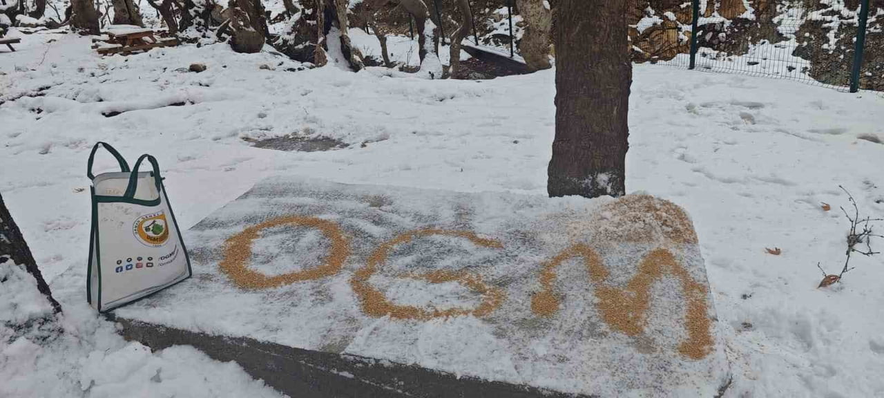 BATMAN ORMAN İŞLETME MÜDÜRLÜĞÜNE BAĞLI ORMAN MUHAFAZA MEMURLARI, YOĞUN KAR YAĞIŞININ ETKİLİ OLDUĞU...