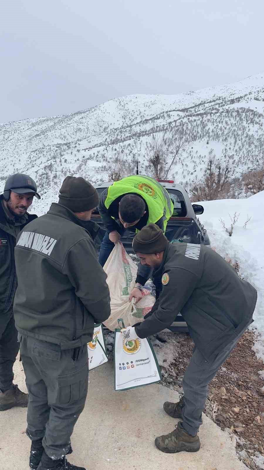 BATMAN ORMAN İŞLETME MÜDÜRLÜĞÜNE BAĞLI ORMAN MUHAFAZA MEMURLARI, YOĞUN KAR YAĞIŞININ ETKİLİ OLDUĞU...