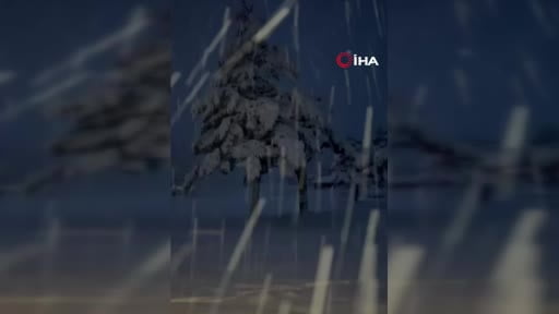 Beyaza sürünen Eskişehir'de kar bereketi