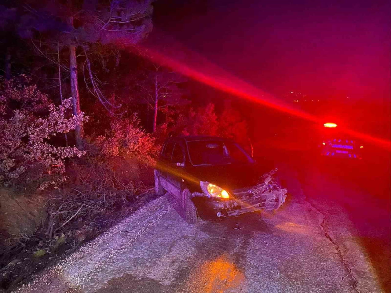 BİLECİK'TE SEYİR HALİNDE KONTROLDEN ÇIKAN OTOMOBİL AĞACA ÇARPARKEN, MEYDANA GELEN TRAFİK KAZASINDA...