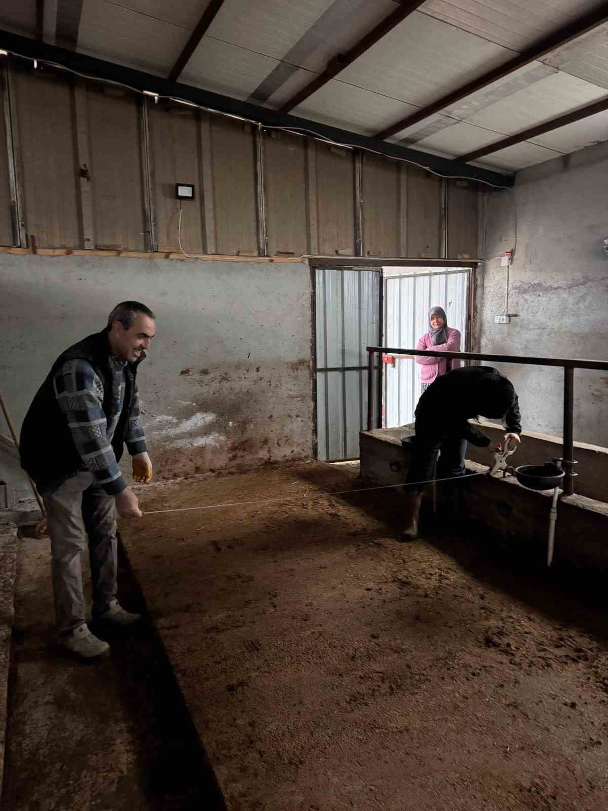 BİLECİK’TE BÜYÜKBAŞ HAYVANCILIK İŞLETMELERİNDE KAPASİTE KONTROLLERİ