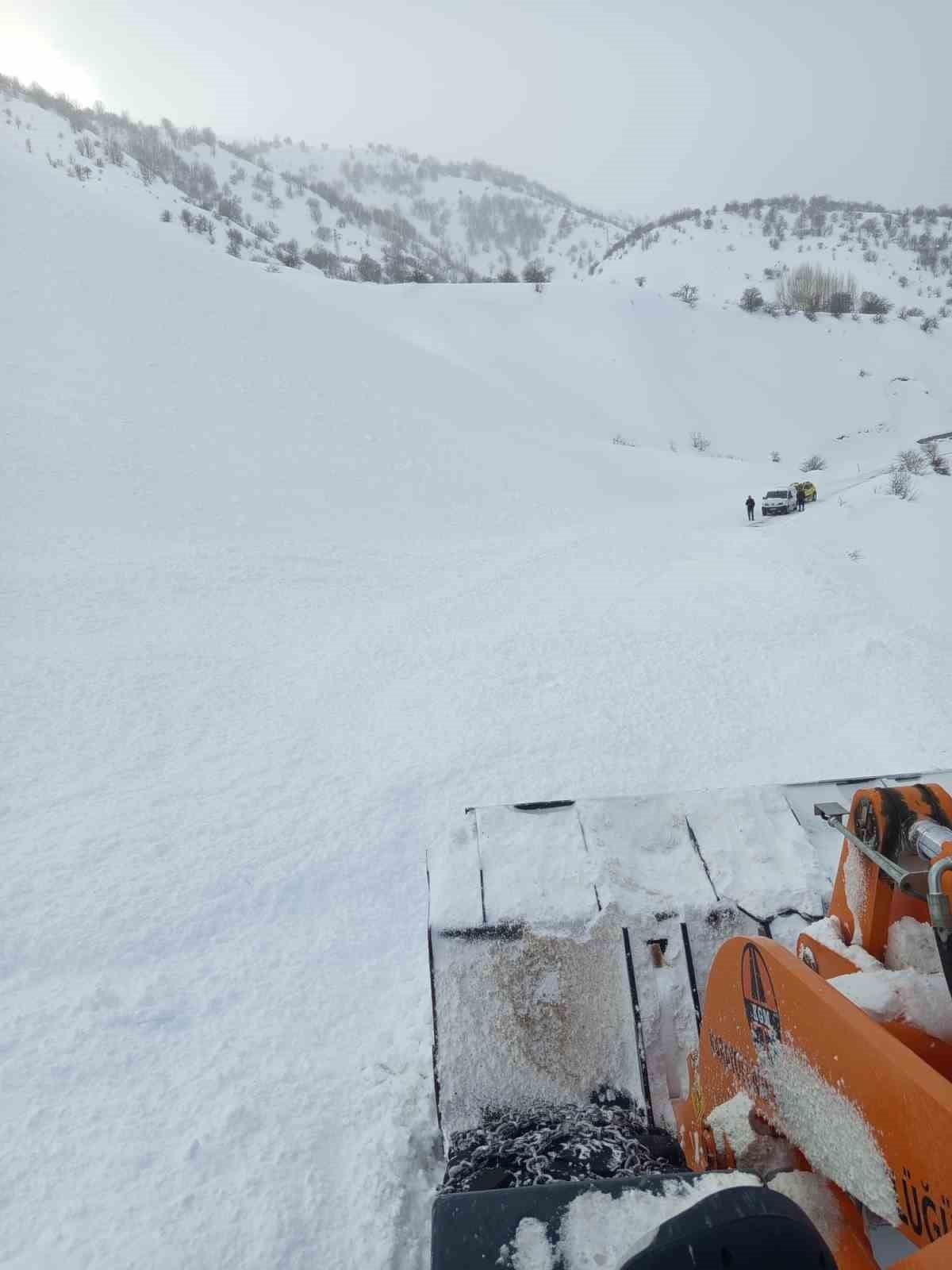 BİNGÖL'ÜN YEDİSU İLE KARLIOVA İLÇELERİ ARASINDAKİ YOLA ÇIĞ, EKİPLER TARAFINDAN...