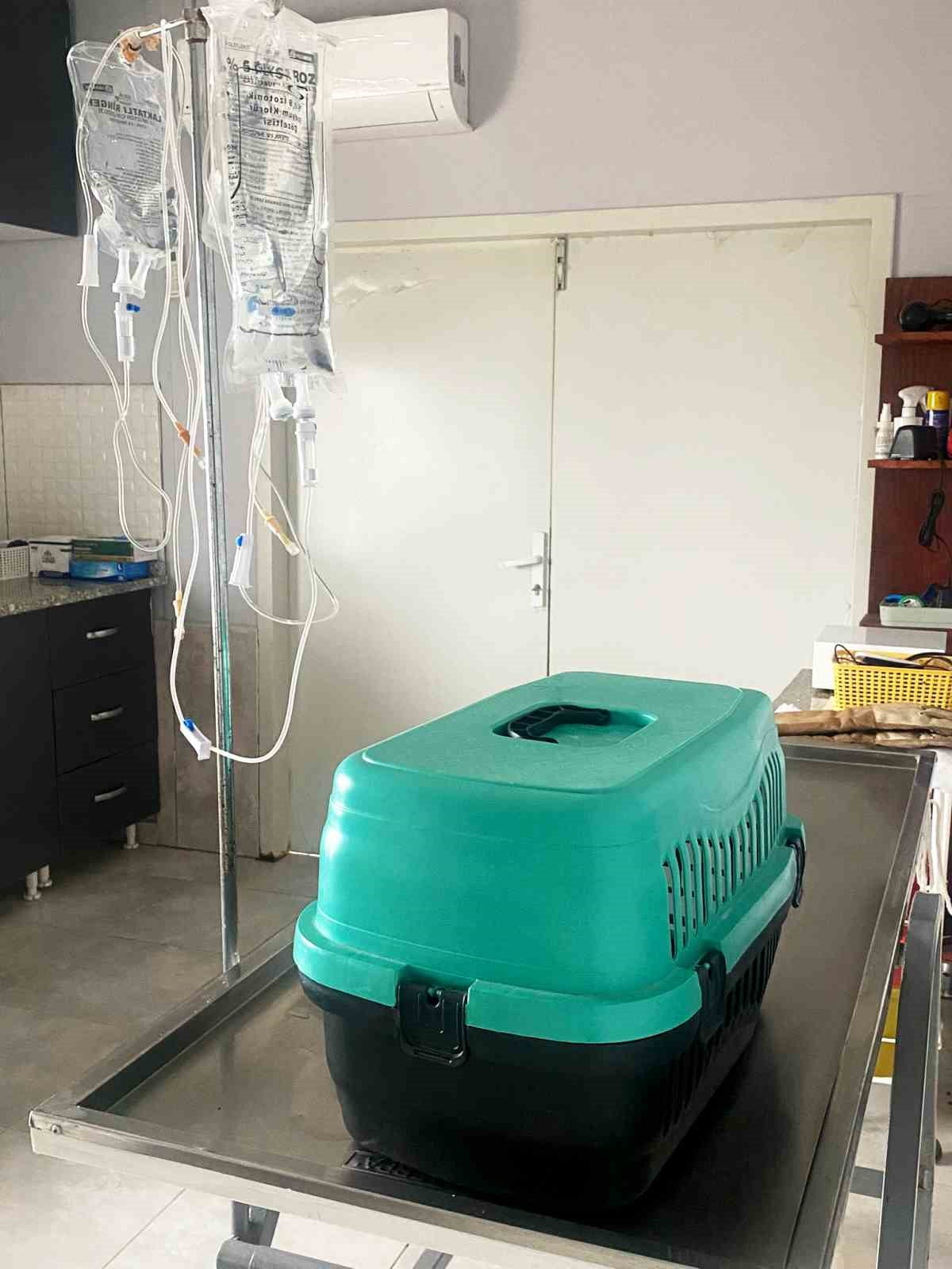 BİR CAN DAHA HAYATA TUTUNDU.