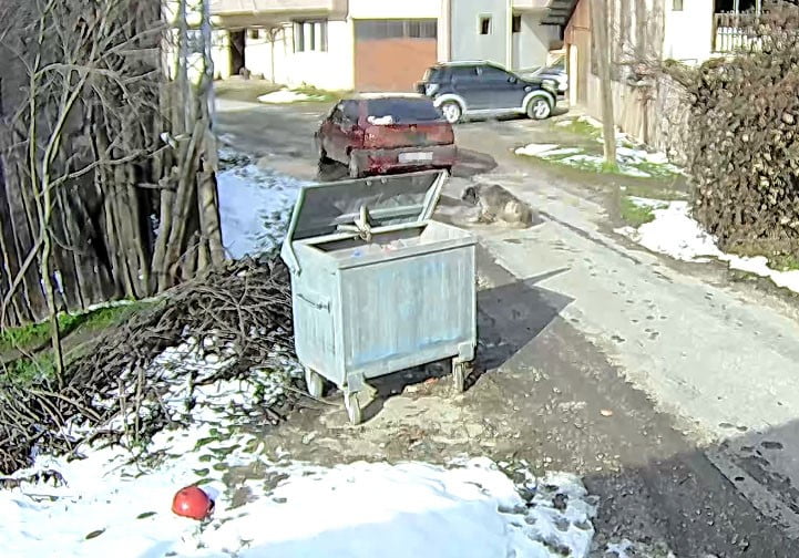 BOLU’DA YOL ORTASINDA UYUYAN SOKAK KÖPEĞİNİN ÜZERİNDEN ARACIYLA GEÇEREK ARKA BACAKLARININ...