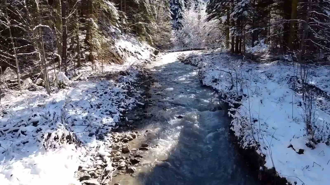 BOLU’NUN DOĞAL GÜZELLİKLERİYLE ÖNE ÇIKAN ABANT GÖLÜ MİLLİ PARKI, KAR YAĞIŞININ ARDINDAN BEYAZA...