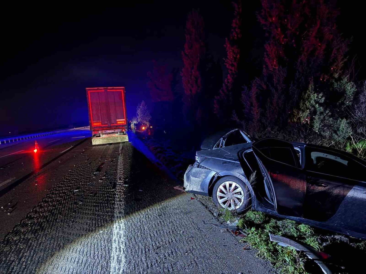 BURSA'NIN MUSTAFAKEMALPAŞA İLÇESİNDE OTOYOLDA KÖPEKLERE ÇARPIP DURMAK ZORUNDA KALAN OTOMOBİLE...