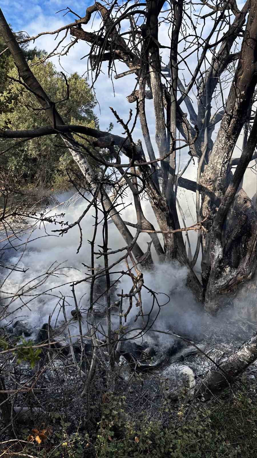 BURSA’NIN MUDANYA İLÇESİNE BAĞLI AYDINPINAR KILIÇBAYIR MEVKİİNDE ÇIKAN ORMAN YANGINI, İTFAİYE...