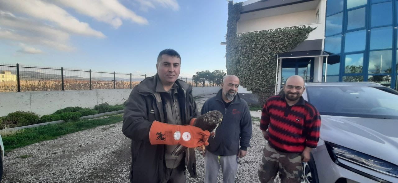 ÇANAKKALE’DE DOĞA KORUMA VE MİLLİ PARKLAR MÜDÜRLÜĞÜ (DKMP) EKİPLERİ ARAÇ ÇARPMASI SONUCU YARALANAN...