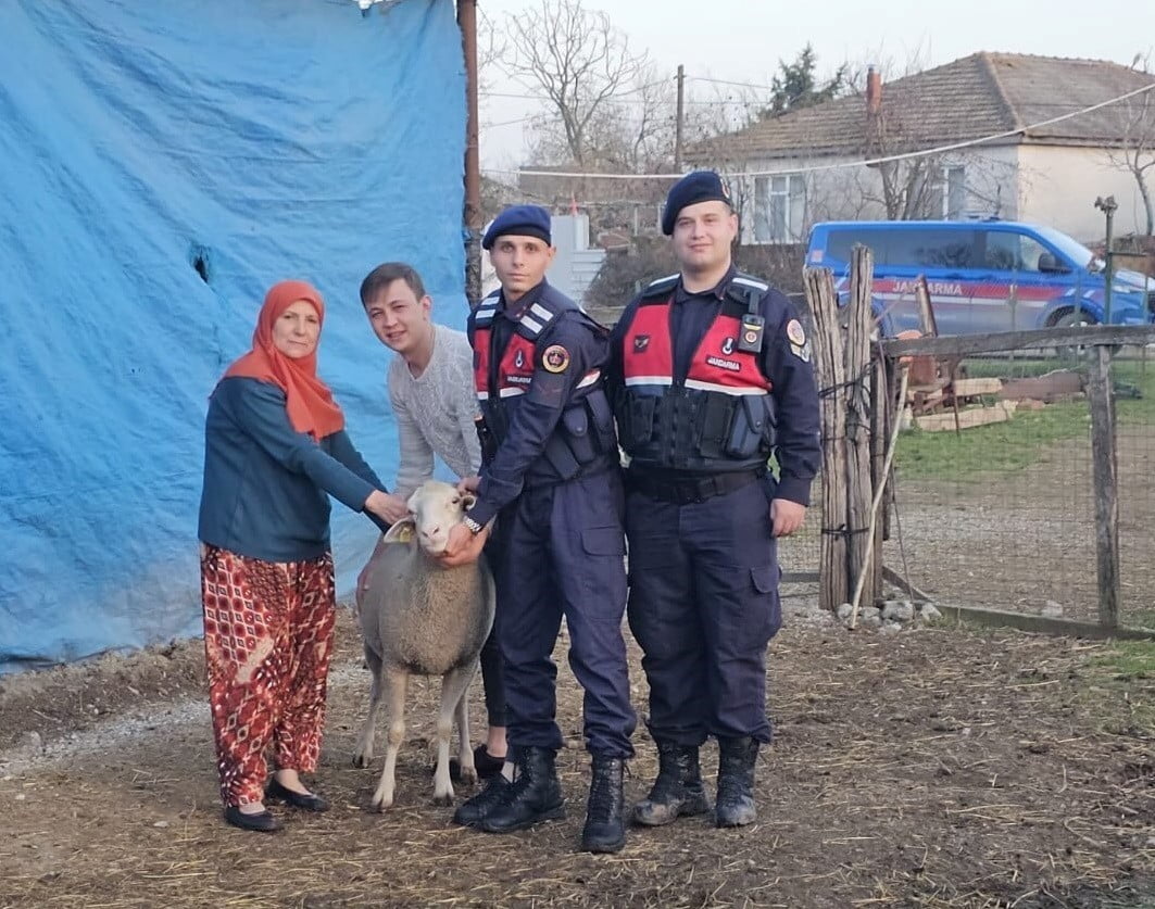 ÇANAKKALE’DE KAYBOLAN 24 KÜÇÜKBAŞ HAYVAN JANDARMA TARAFINDAN BULUNARAK SAHİPLERİNE TESLİM...