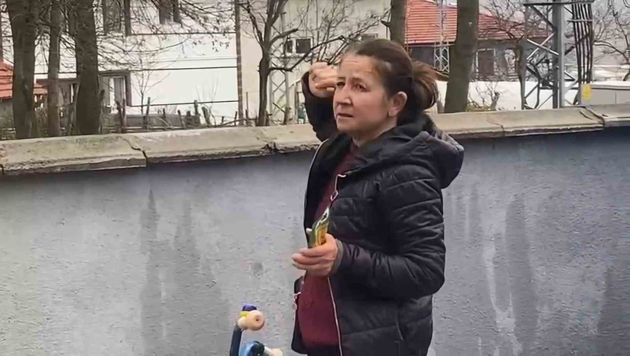 ÇIKTIĞI AĞAÇTA MAHSUR KALAN KEDİ  KURTARILMAYI BEKLİYOR