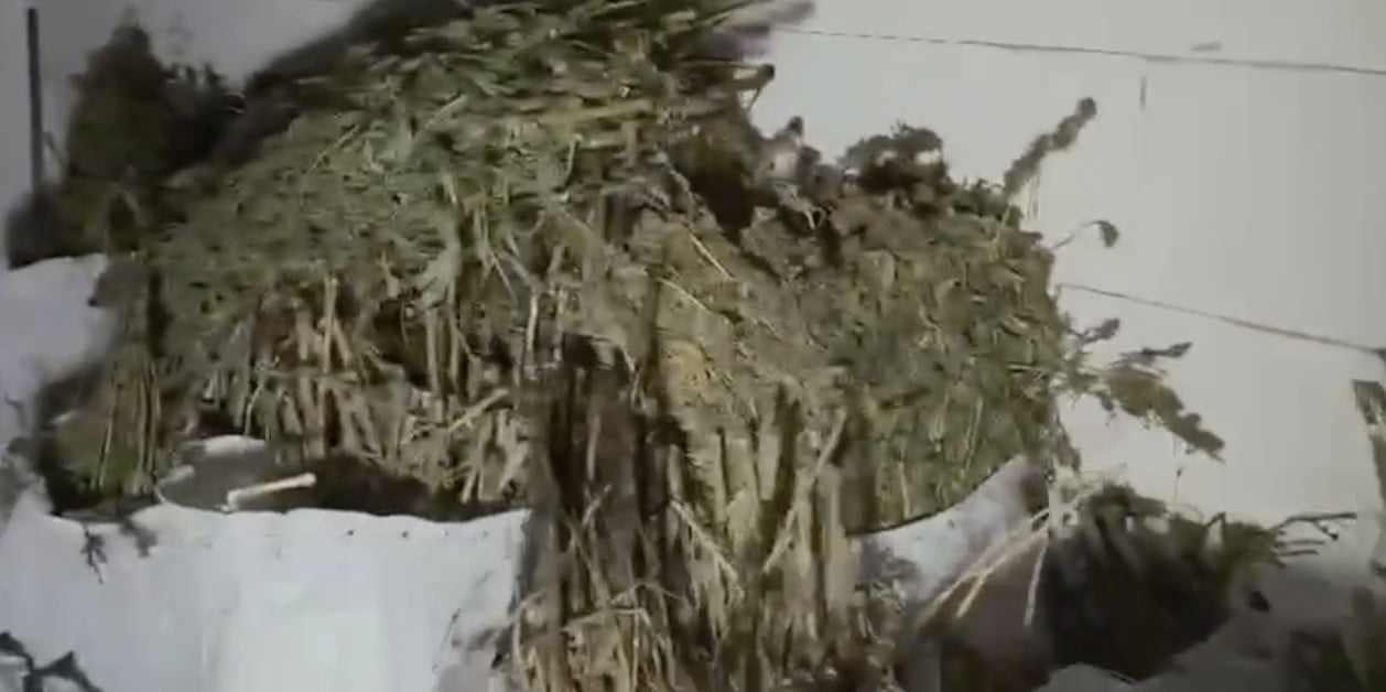 ÇORUM’DA POLİS EKİPLERİNİN DÜZENLEDİĞİ OPERASYONDA, ATIL DURUMDAKİ BİR FABRİKA BİNASININ...