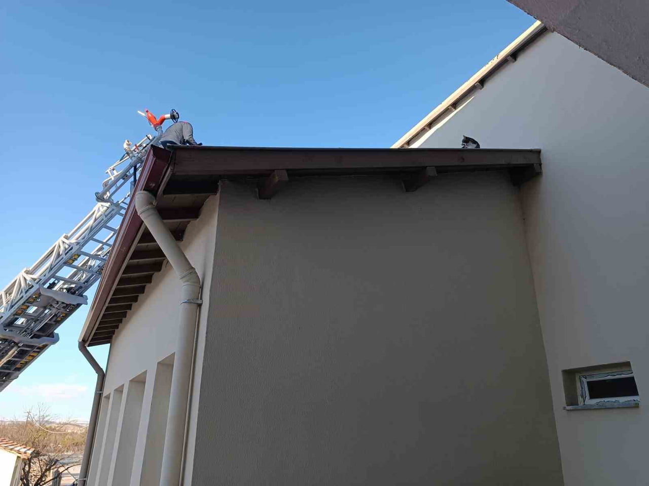 ÇORUM’UN ALACA İLÇESİNDE, BİNASININ ÇATISINDA MAHSUR KALAN KEDİ, İTFAİYE EKİPLERİNİN ÇALIŞMASIYLA...