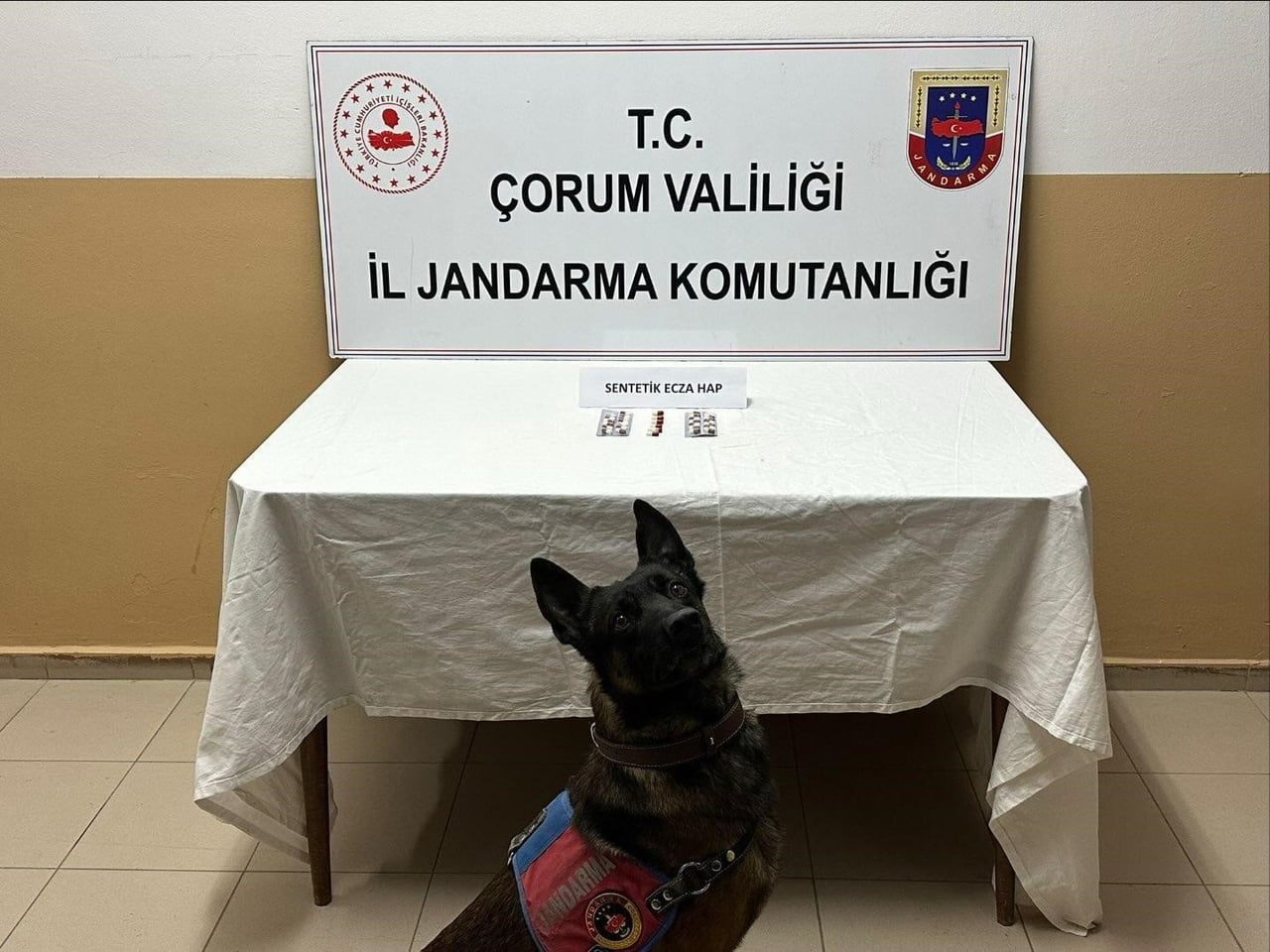 ÇORUM’UN ALACA İLÇESİNDE JANDARMA EKİPLERİNİN ŞÜPHE ÜZERİNE DURDURDUĞU ARAÇTA VE ŞAHISLARIN...