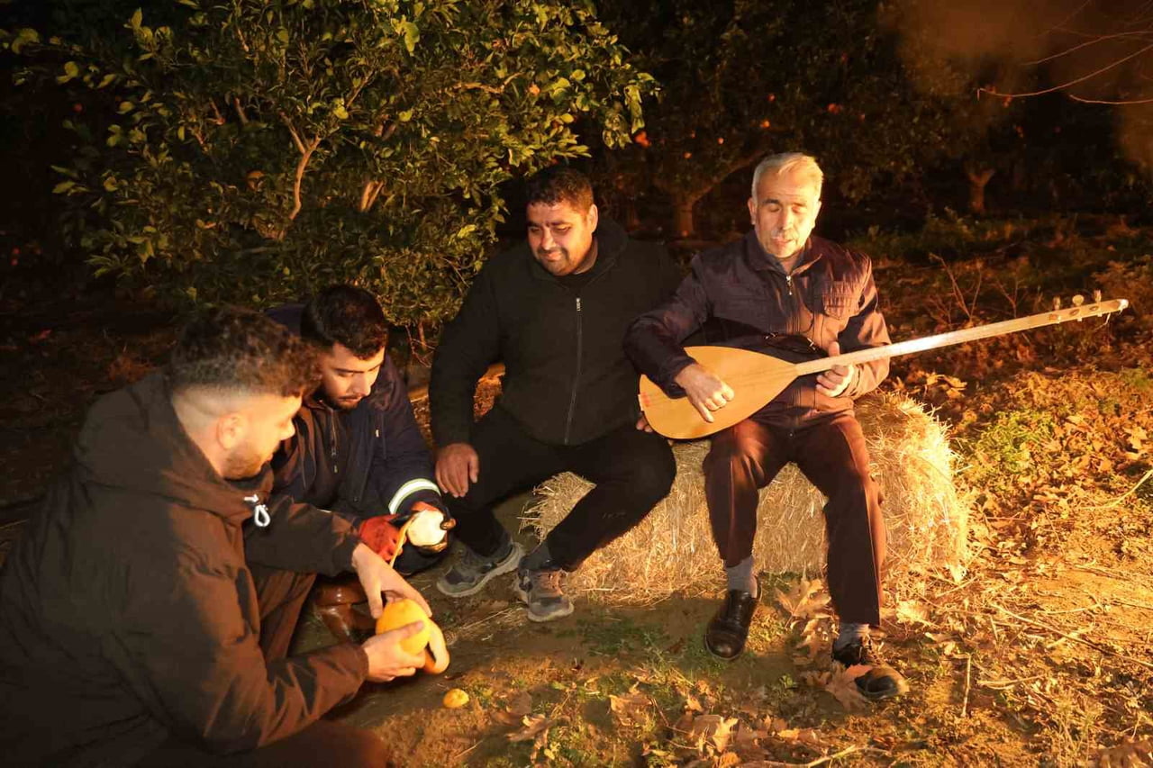 ÇUKUROVA’DA METEOROLOJİ’NİN DON UYARISININ ARDINDAN ÇİFTÇİLER, COĞRAFİ İŞARETLİ VE LEZZETİ...