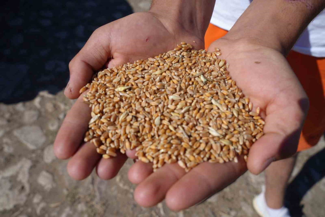 DEMİRÖZÜ’NDE ÇİFTÇİLERE YÜZDE 100 HİBELİ ÜRETİM DESTEĞİ