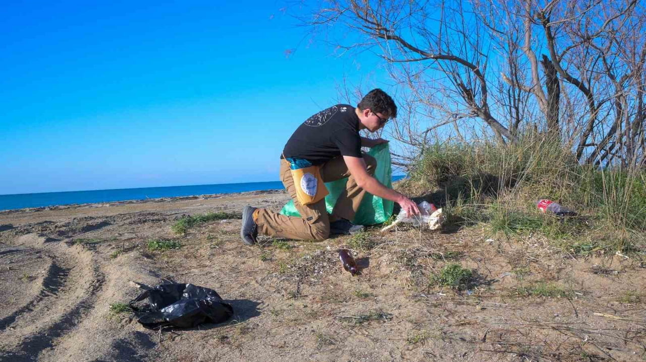 DENİZ KAPLUMBAĞALARI, AKDENİZ FOKLARI, KUM ZAMBAKLARI - KIYI KORUMA DERNEĞİ ÜYESİ 6 GÖNÜLLÜ...