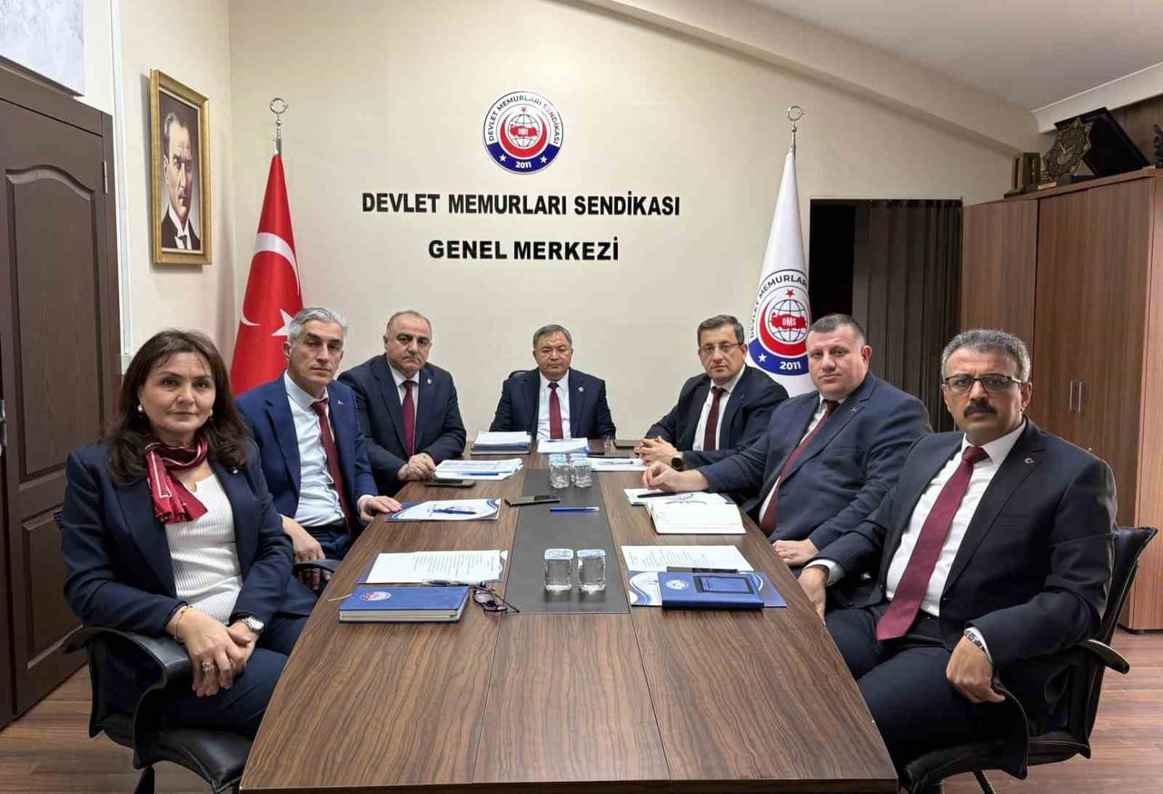 DEVLET MEMURLARI SENDİKASI (DMS) GENEL BAŞKANI TUNCAY CENGİZ, "VERGİ DAİRELERİ KURULUŞ VE GÖREV...