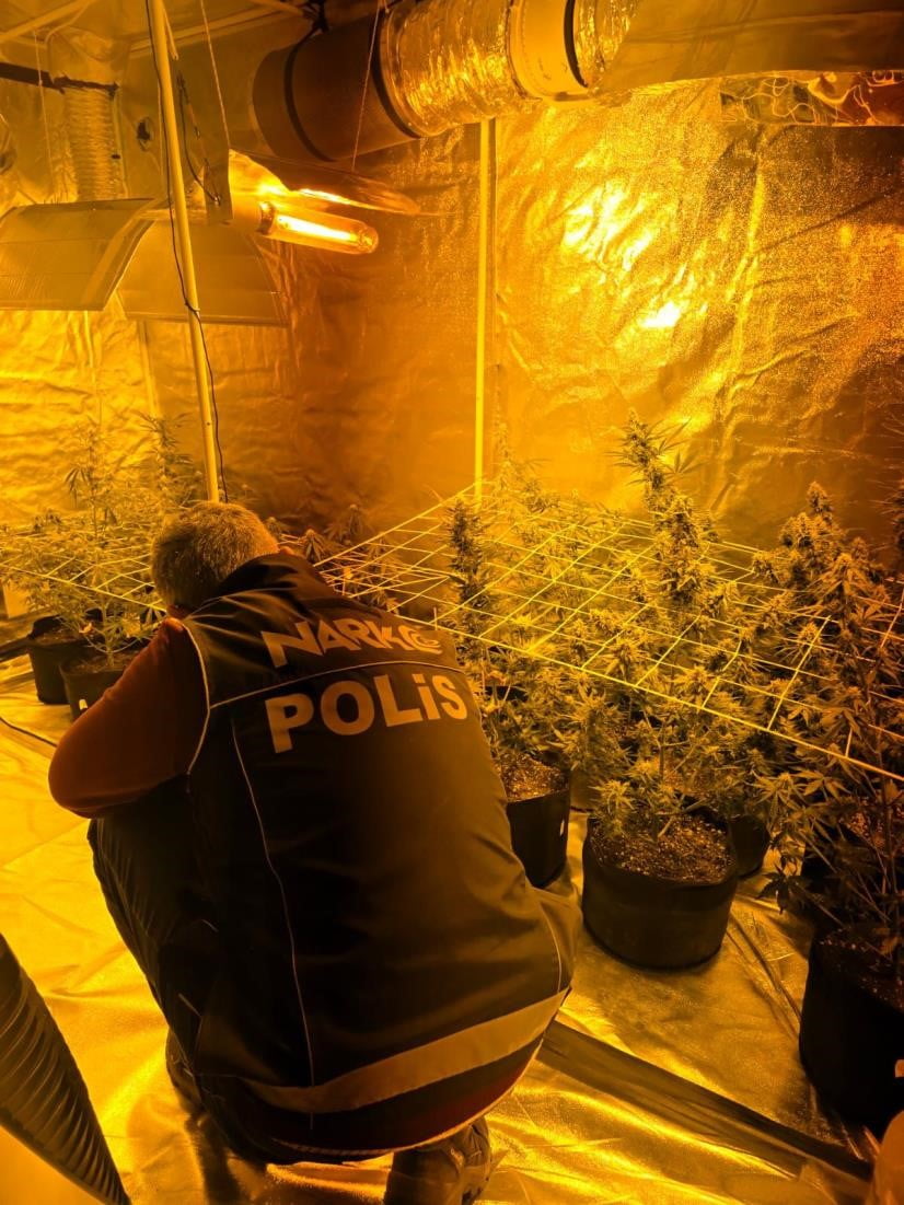 DİDİM’DE UYUŞTURUCU OPERASYONU: KENEVİR SERASI ORTAYA ÇIKARILDI