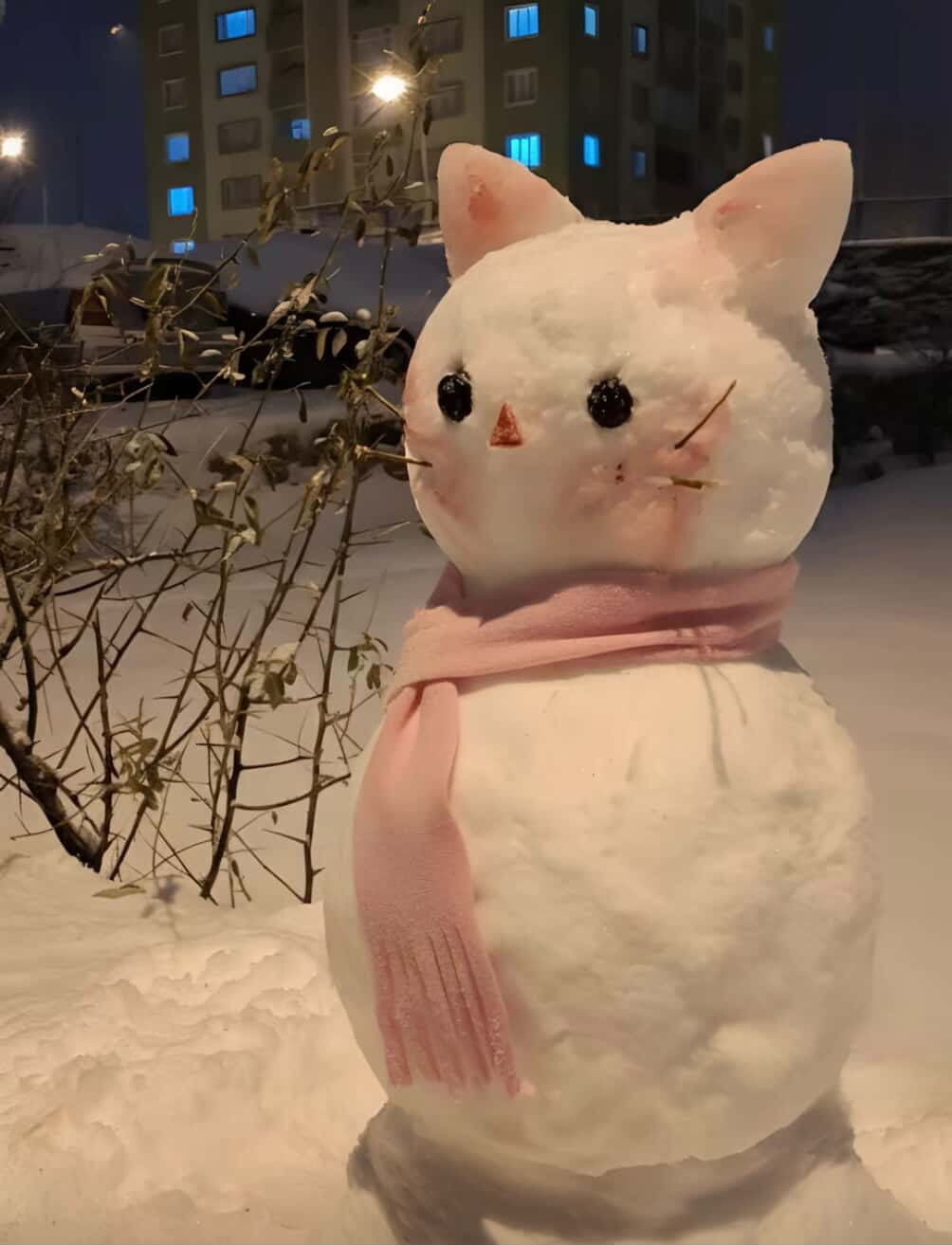 DİYARBAKIR'IN ÇERMİK İLÇESİNDE DÜZENLENEN KARDAN ADAM YARIŞMASINDA ALDIKLARI OYLARLA İLK ÜÇE GİREN...