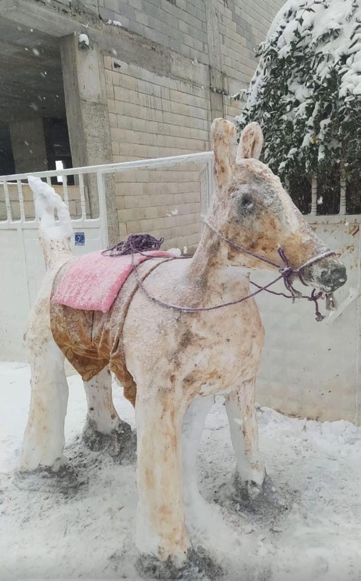 DİYARBAKIR'IN ÇERMİK İLÇESİNDE DÜZENLENEN KARDAN ADAM YARIŞMASINDA ALDIKLARI OYLARLA İLK ÜÇE GİREN...