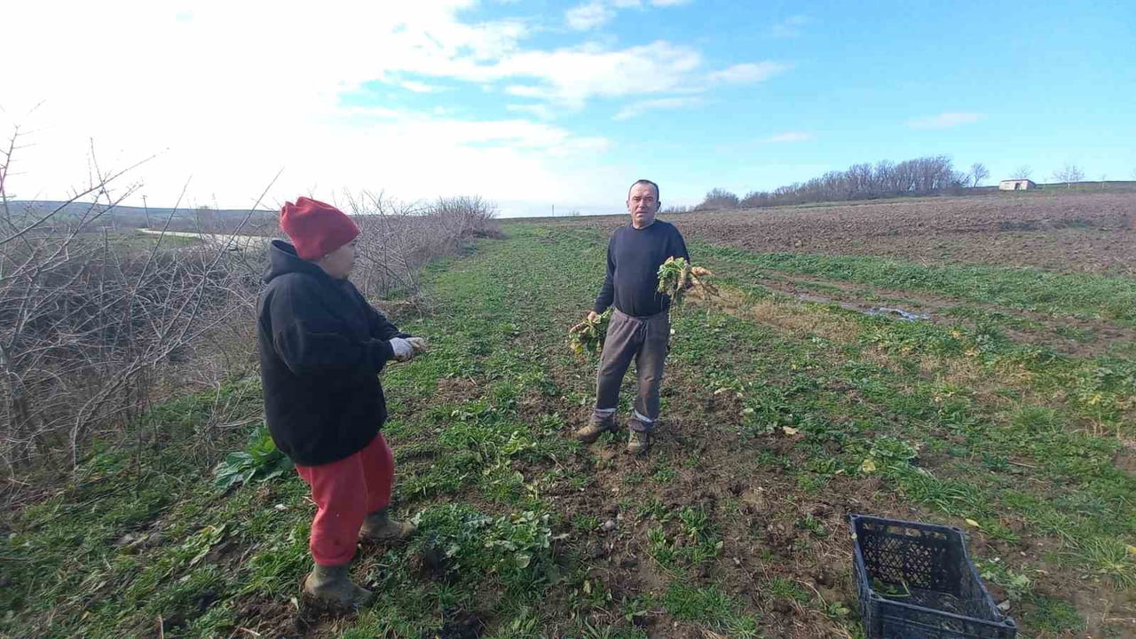 EDİRNE'NİN UZUNKÖPRÜ İLÇESİNDE ÇİFTÇİLİK YAPAN KEMAL İLTER, AİLESİYLE BİRLİKTE YILIN DÖRT MEVSİMİ...
