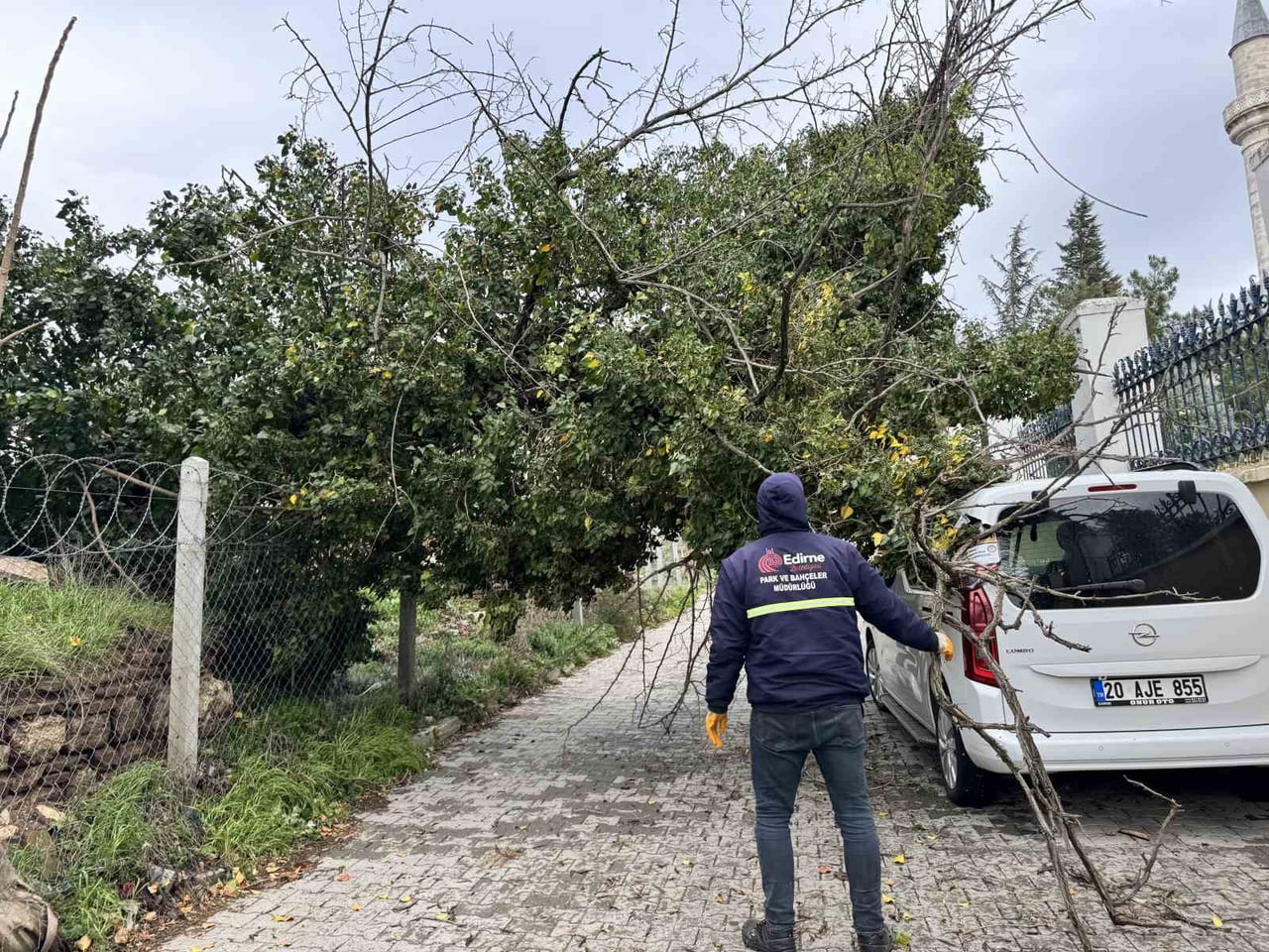 EDİRNE’DE ŞİDDETLİ FIRTINA AĞAÇLARI DEVİRDİ