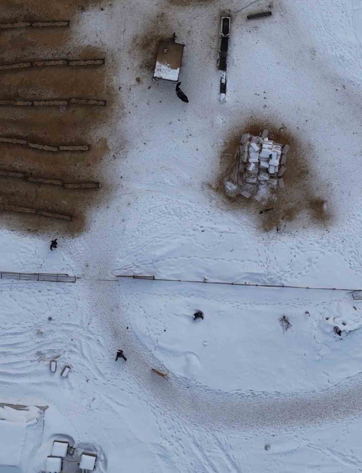 ELAZIĞ’IN AĞIN İLÇESİNDE DOĞA ÇEKİMİ YAPAN BİR DOĞASEVER, ÇİFTLİK KÖPEKLERİNİN SALDIRISINA UĞRADI....